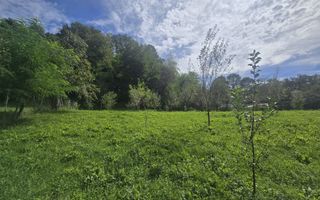 Oportunitate de investiție în Breaza – teren intravilan de 3.591 mp - Poză 4