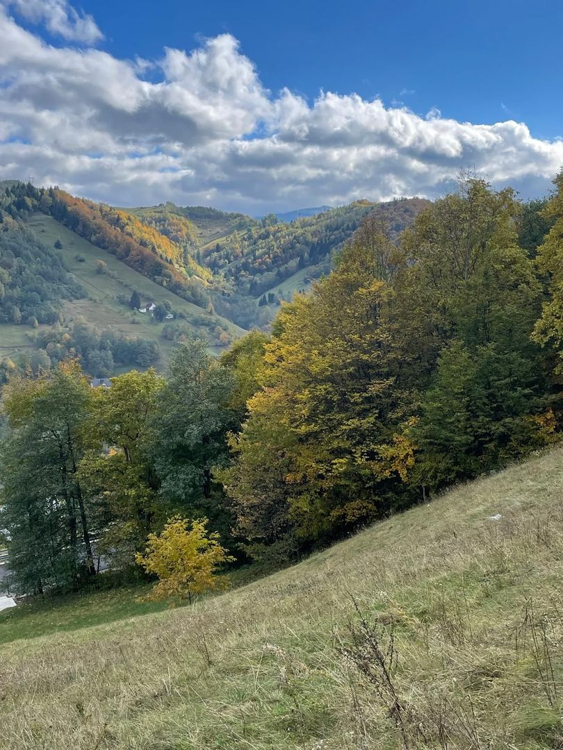 Teren extravilan cu priveliste catre Bucegi – Moieciu de Jos 4.700 mp - Poză 3