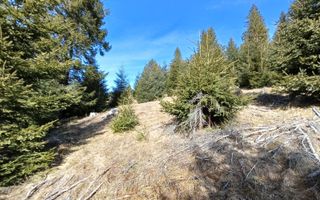 Teren de vânzare în zona montană a județului Alba - Poză 1