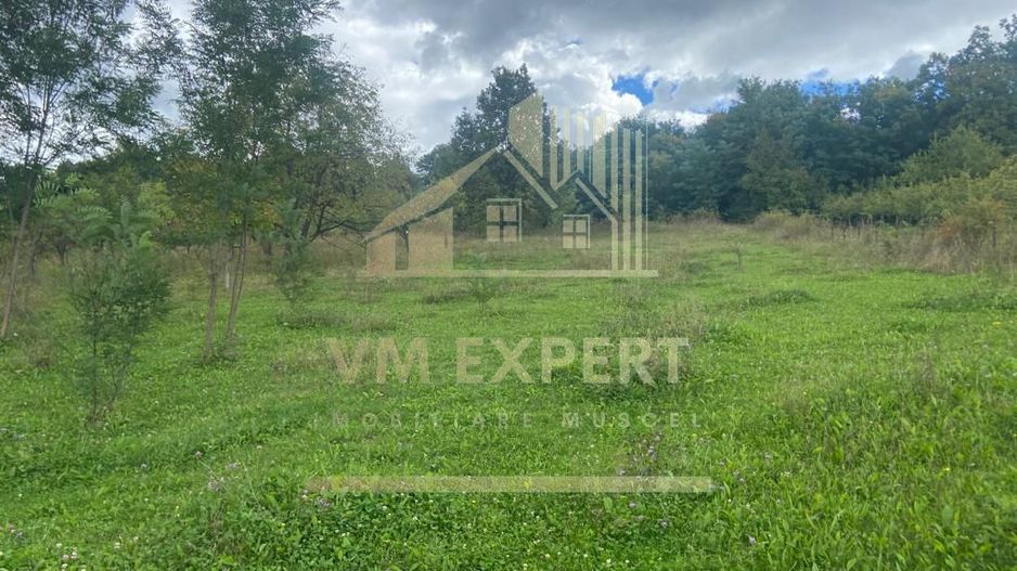 TEREN INTRAVILAN CAMPULUNG FORMAT DIN 4 LOTURI - Poză 3