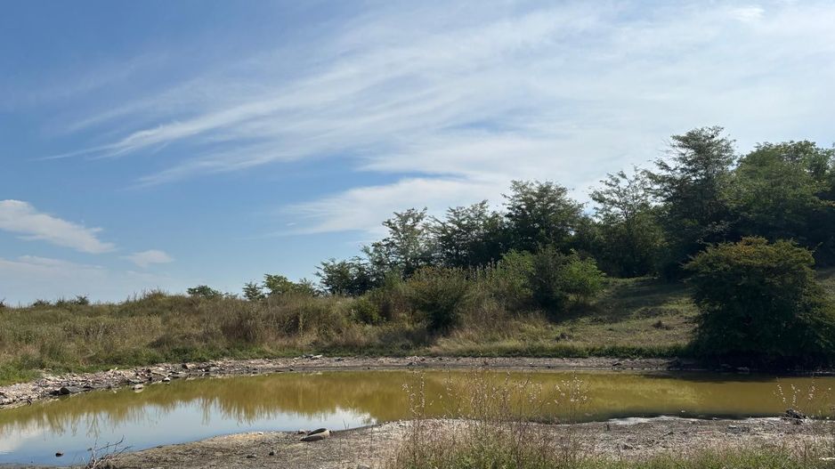 Teren intravilan langa padure - Poză 1