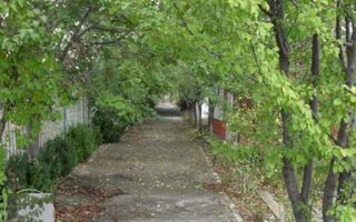 Teren la 35 km de Bucuresti - Izvorani - Ciolpani - Poză 5