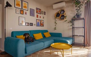 3 camere open space, parcare, Calea Turzii, Europa, Pet Friendly - Poză 5