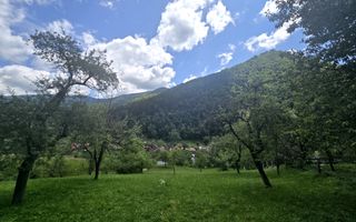 Teren | 2946MP | Priveliște Panoramică | Râu Sadului - Poză 7