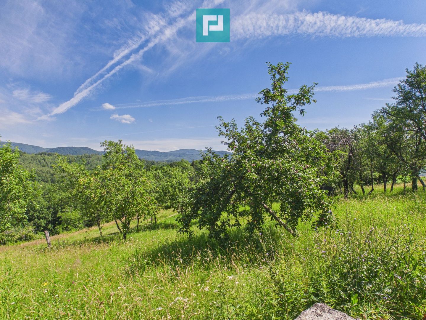 Casă de vacanță cu 2 corpuri si view în Dulcele - Poză 25