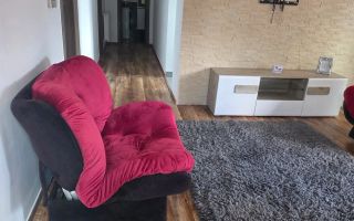 Apartament 3 camere Giroc la casa cu curte - Poză 2