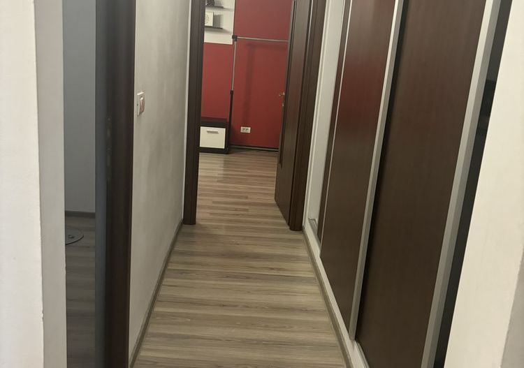 BRASADAS vinde ap cam PARTER zona 1 Decembrie. - Poză 5