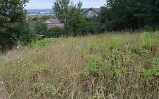 Casă de vânzare în Sfântu Ilie și teren 2000 mp - Poză 47