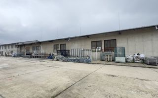 Inchiriere Clădire Producție, Depozitare, Birouri-Teren 3140 mp - Carei - Poză 3