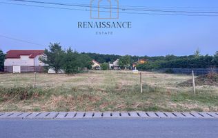 Dumbravita Teren Intravilan 1466mp Front 29m | Langa Padure
