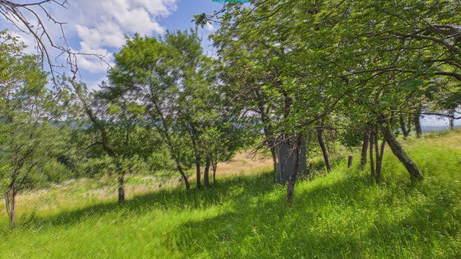Casă de vacanță cu 2 corpuri si view în Dulcele - Poză 21