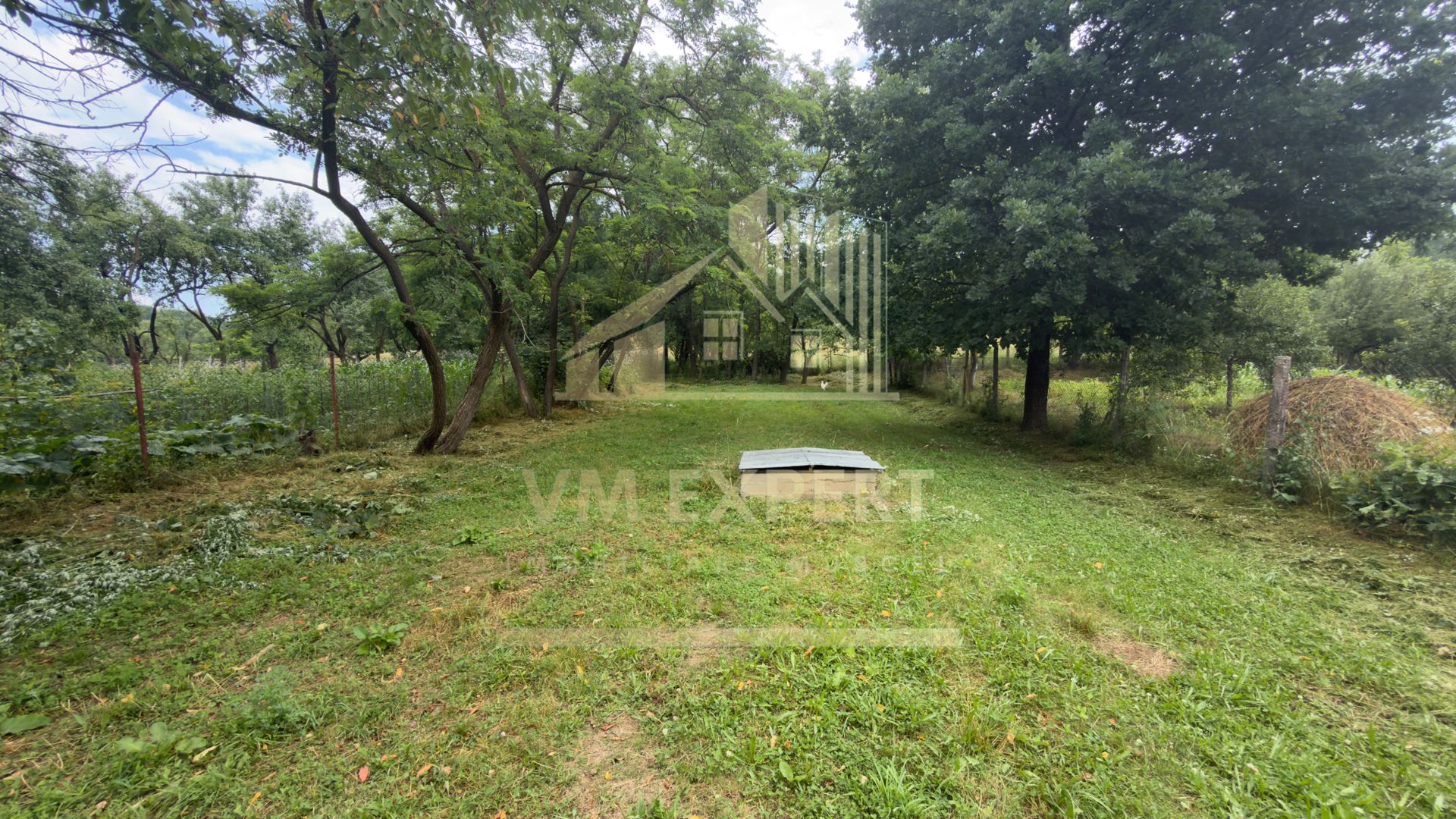 CASA 5 CAMERE TEREN 1138 MP BĂLILEȘTI  ARGES - Poză 23