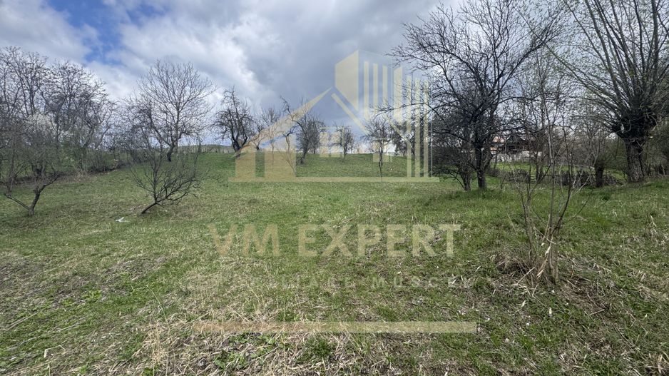 TEREN INTRAVILAN 4365 MP POENARII DE MUȘCEL  JUDEȚUL ARGES - Poză 20