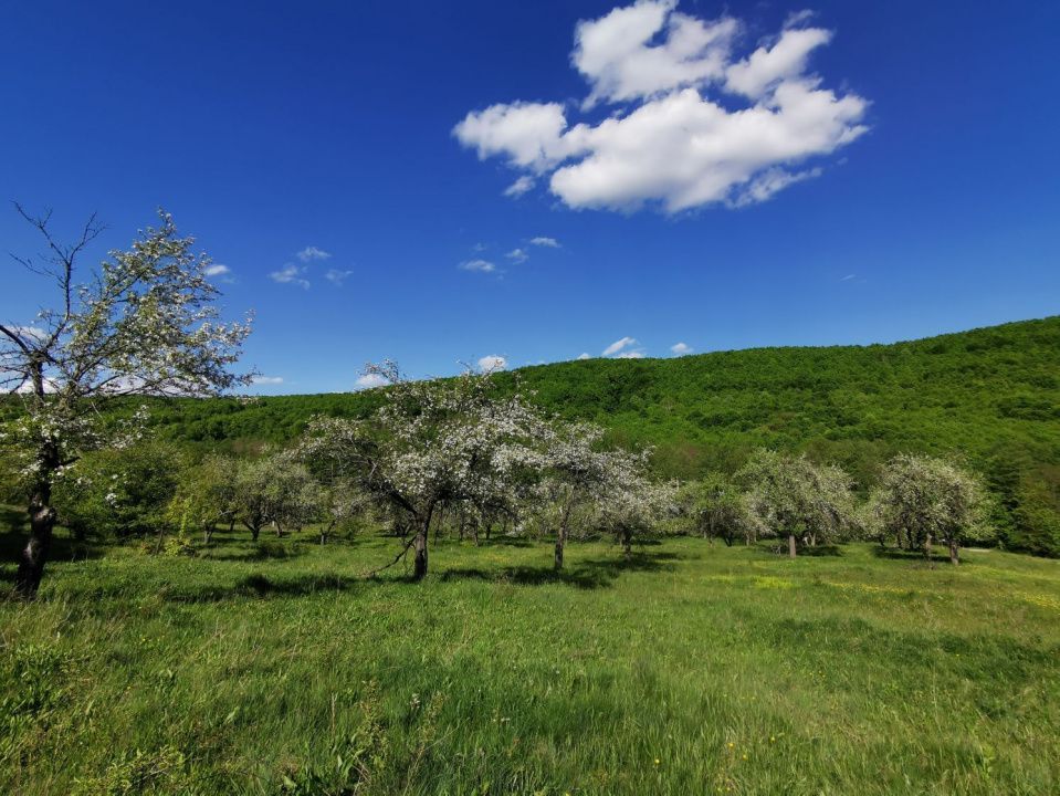 Teren 680mp Budeasa Mica, AG - Poză 2