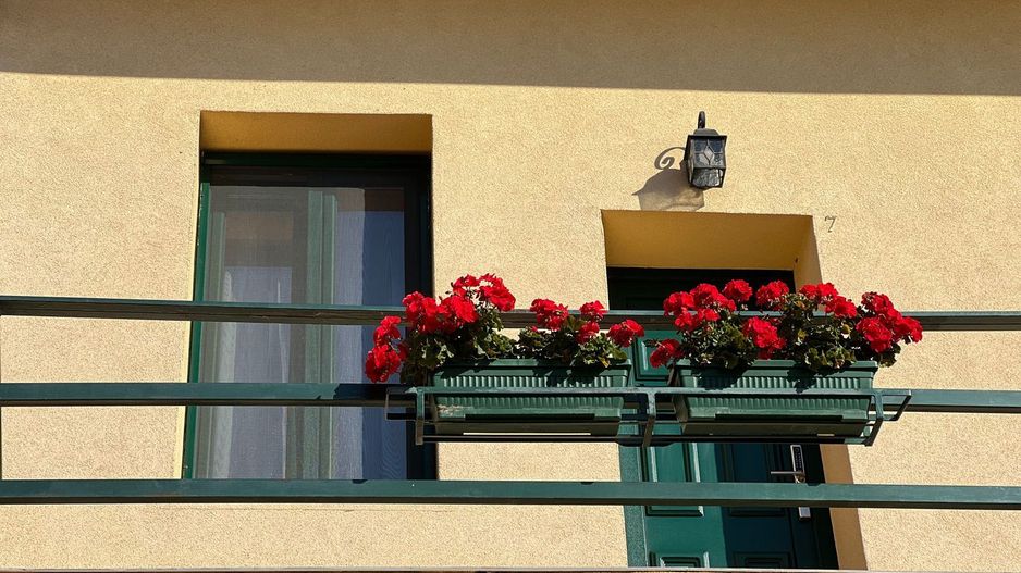 Business la cheie - Proprietate tip pensiune cu rating 9,8/10 Booking - Poză 14