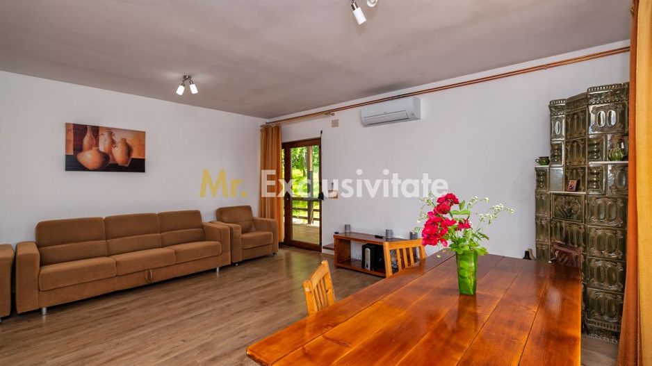Casa moderna si casa bunicii + 6300 mp teren,Oaza autentica in Corbi Arges- - Poză 11