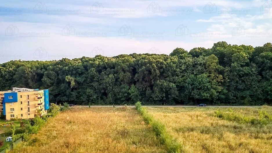 3 camere | Greenfield | Baneasa | Pipera | parcare - Poză 13