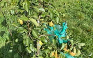 Casa de Vanzare  GORNESTI- Renovata 2025 semifinisata. - Poză 6