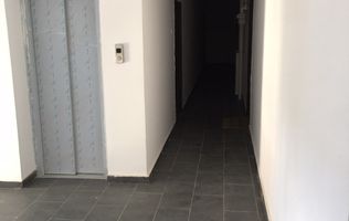 Apartament 3 camere Dambul rotund