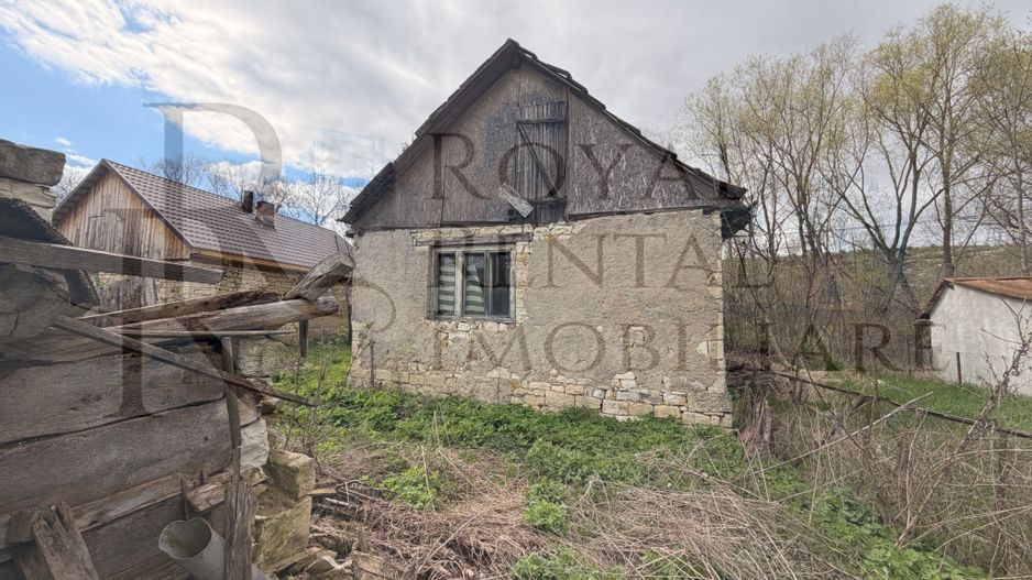 Comision 0! | Casă + teren generos | 2600 m² | Oportunitate unică - Faureni - Poză 5