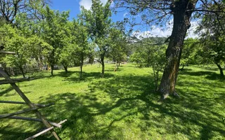 TEREN INTRAVILAN 3477 MP STOENEȘTI BĂDENI ARGEȘ - Poză 16