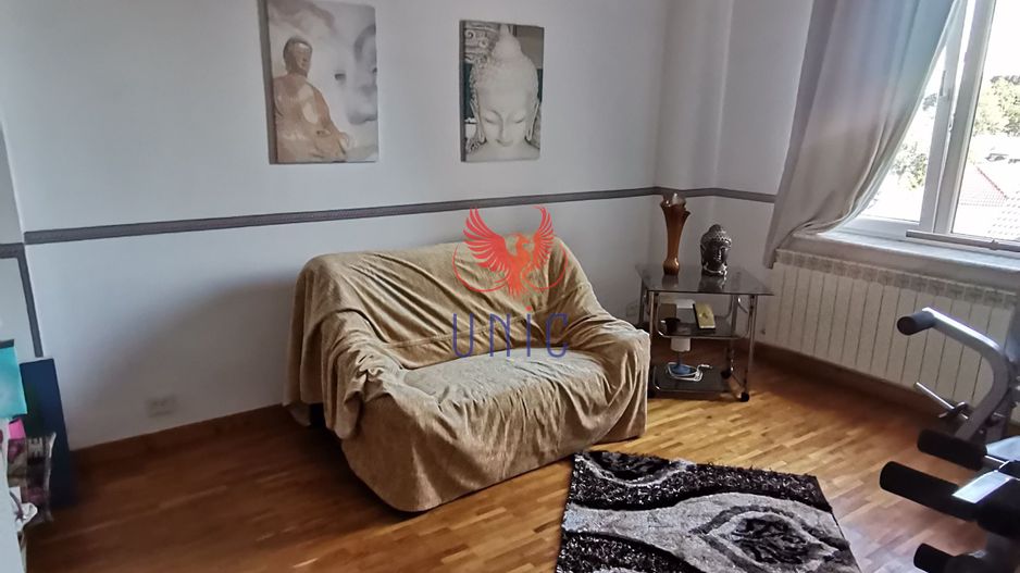 Vila Brazda lui Novac zona Paltinis - Poză 19