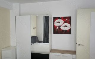 Apartament de închiriat 2 camere, 5 minute parc Herestrau - Poză 8