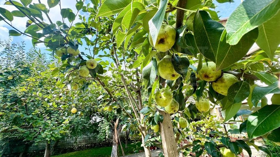 Vânzare, casă, 3 nivele, 6 camere, str. Durlești, Buiucani - Poză 8