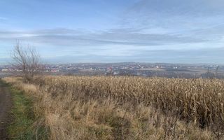 Teren intravilan de vânzare | Cajvana | 7.800 mp - Poză 3