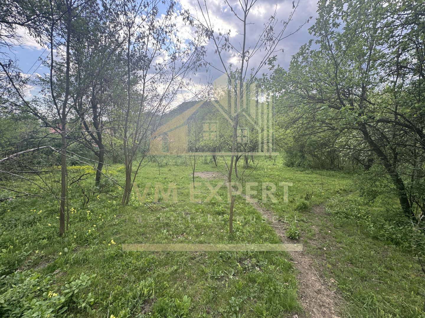 TEREN INTRAVILAN 7018 MP CAMPULUNG - Poză 4