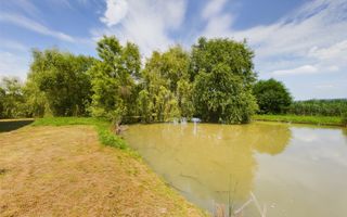 Moară istorică cu teren și luciu de apă în Aldești - Poză 3