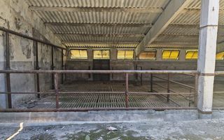 Spațiu industrial -fermă Orțișoara - Poză 5