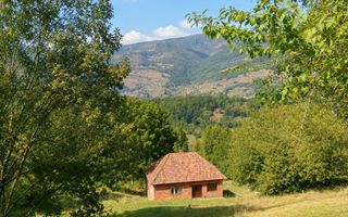 Casă de vacanță Bulz - Poză 5