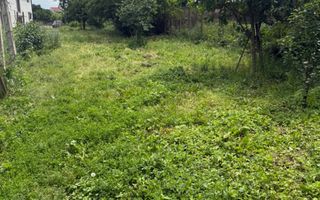 Casă individuală | 1.075 mp teren | 80 mp utili | Investiție | Zona Turnișor - Poză 3