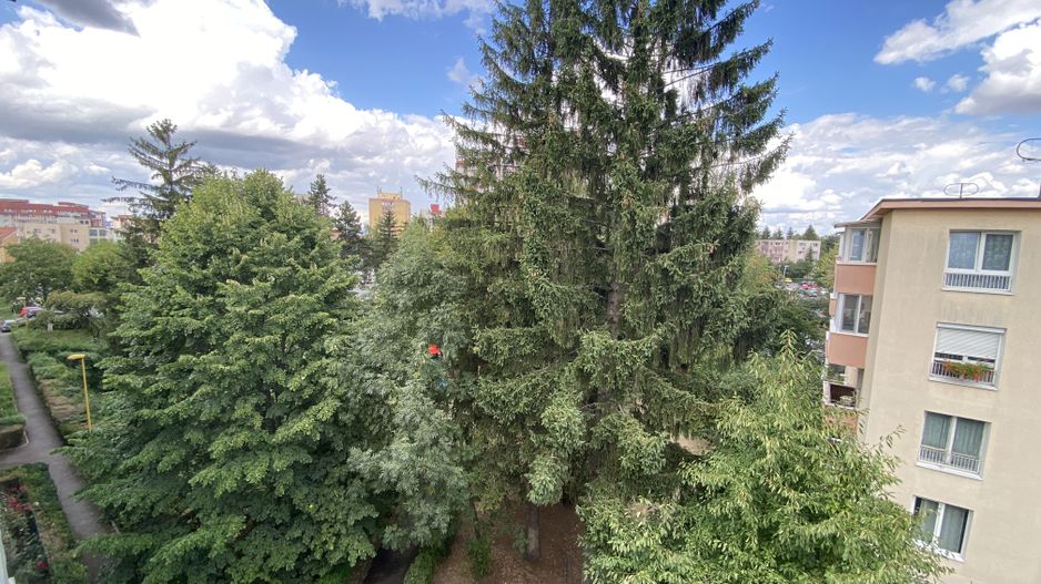 Apartament cu 2 camere in Gemenii, Bd Saturn - prima inchiriere - Poză 22