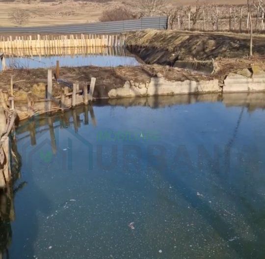 2 iazuri de vanzare - Poză 4