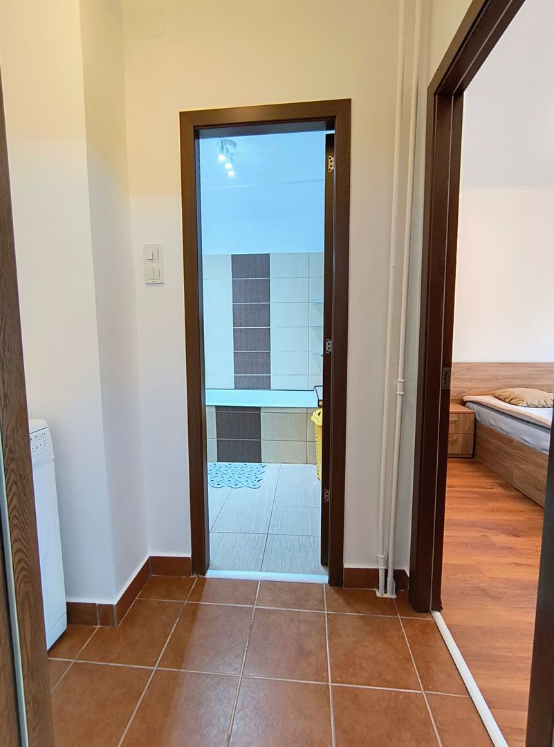 Apartament 3 camere- Calea Mosilor - Poză 5