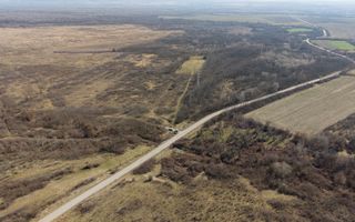 Teren extravilan 95.23 ha lângă Caransebeș - Poză 10