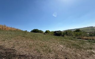 Teren Parțial Intravilan | 11.278 mp | Front la 2 Străzi | Gădălin - Poză 4