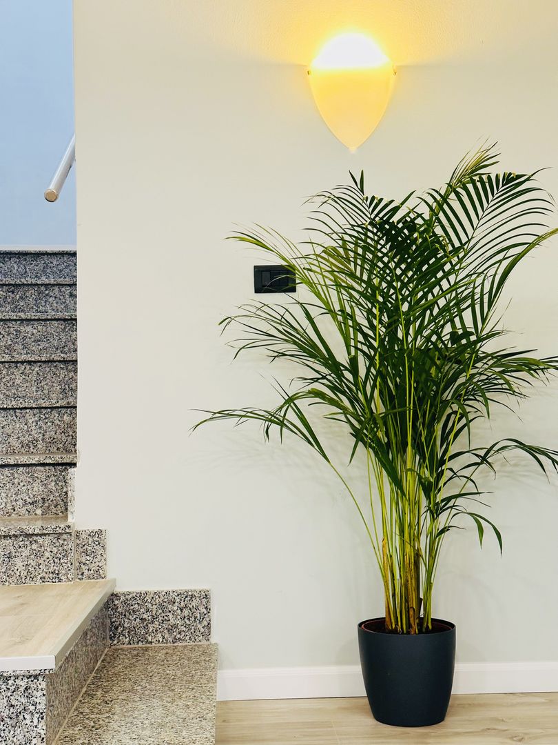 Casa individuala cu 4 dormitoare, 184 mp | Garaj & Gradina | Fropin - Poză 36