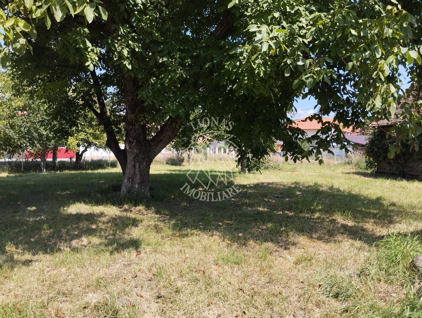 Casa 110 mp 7 incaperi-teren 3850 mp-anexa-Dorolea, 15 km de Bistrita - Poză 3