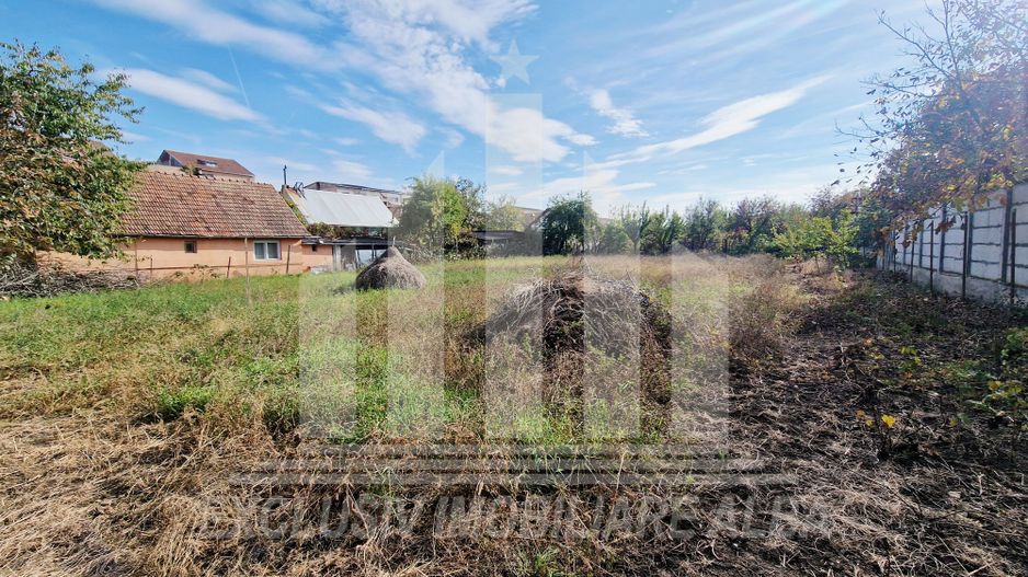 Casa individuala de vanzare, Cetate - Poză 6