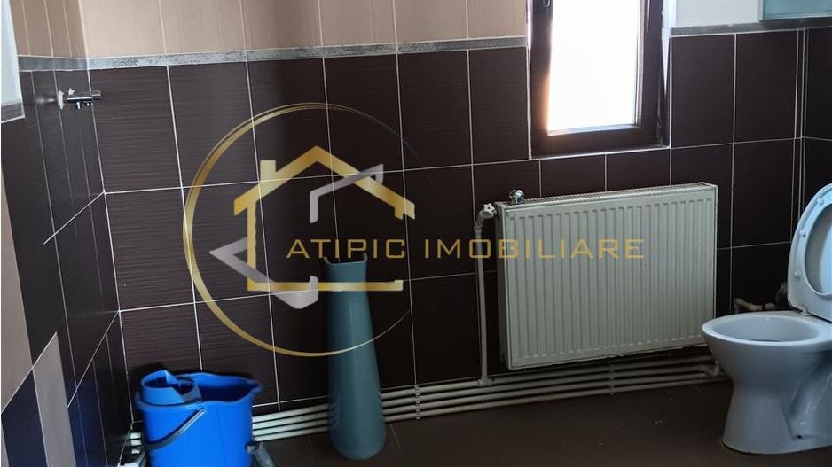 De vanzare vila individuala in Lunca Cetatuii Cartierul Tineretului - Poză 15