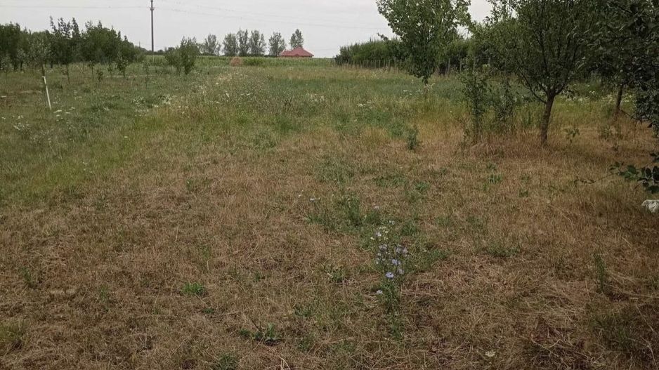 Casa cu teren de vanzare-Satmarel, Satu Mare - Poză 8