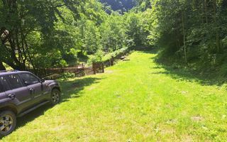 Paradis pe Transalpina in Sugag - Poză 3