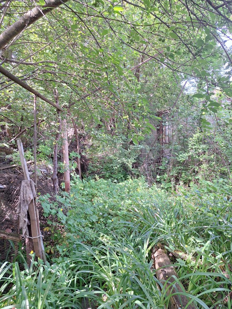 Casă cu 3 camere și teren generos, în Andrei Mureșanu - Poză 3