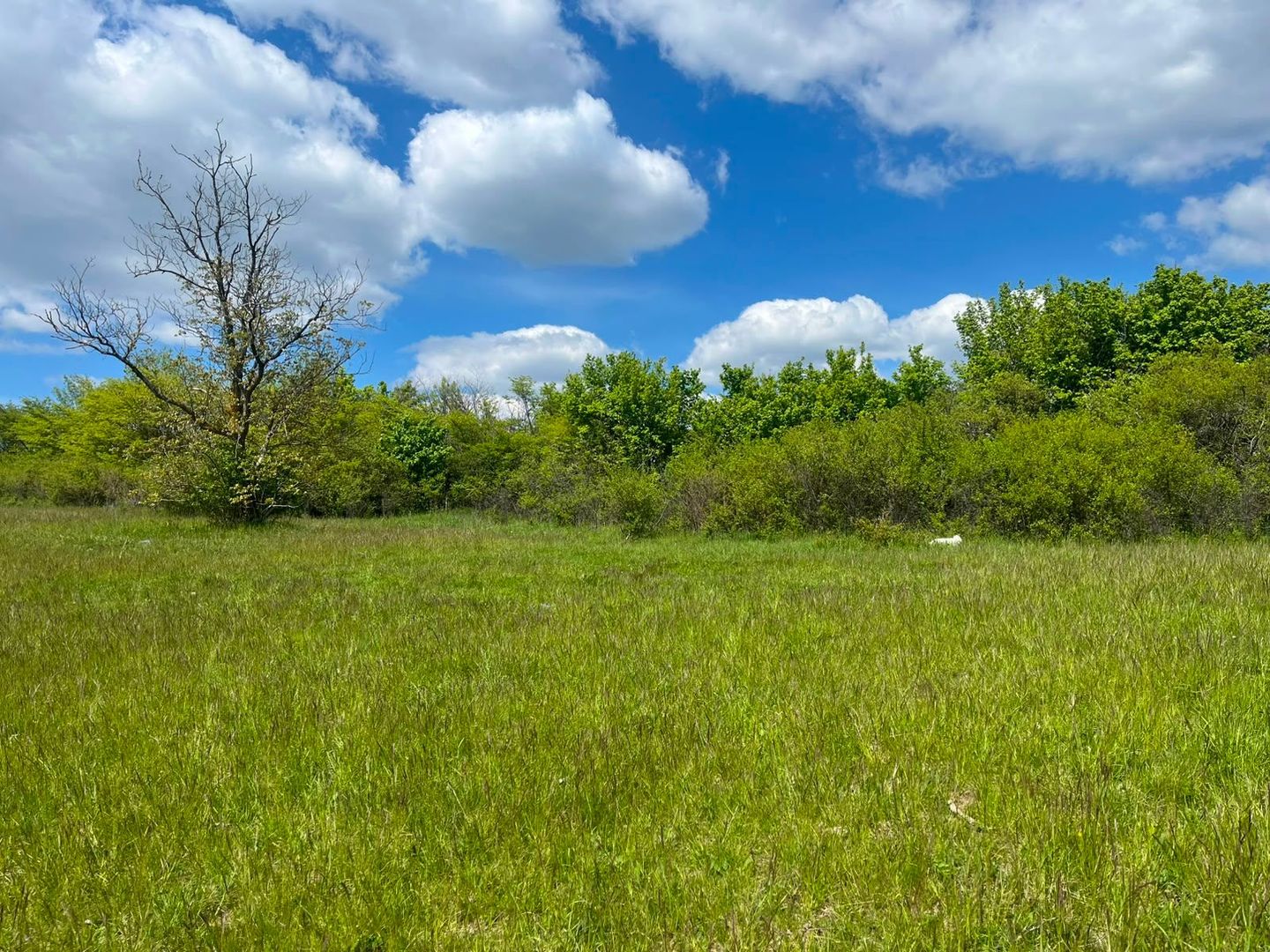 TEREN INTRAVILAN DE VÂNZARE – 3.610 MP | VIILE SIBIULUI | INVESTIȚIE - Poză 3