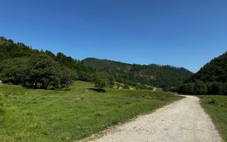 2 Loturi a 2124+2744mp Barsa Fierului / Plaiul Foii - Poză 12