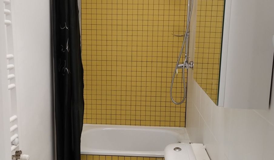 Închiriez apartament 3 camere, Calea Calarasi,renovat,centrală proprie - Poză 10