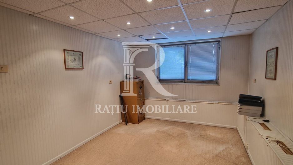 14.302 MP TEREN | 4.925 MP CONSTRUIT | PUTERE ELECTRICĂ EXCEPȚIONALĂ | FĂRĂ SARCINI - Poză 8